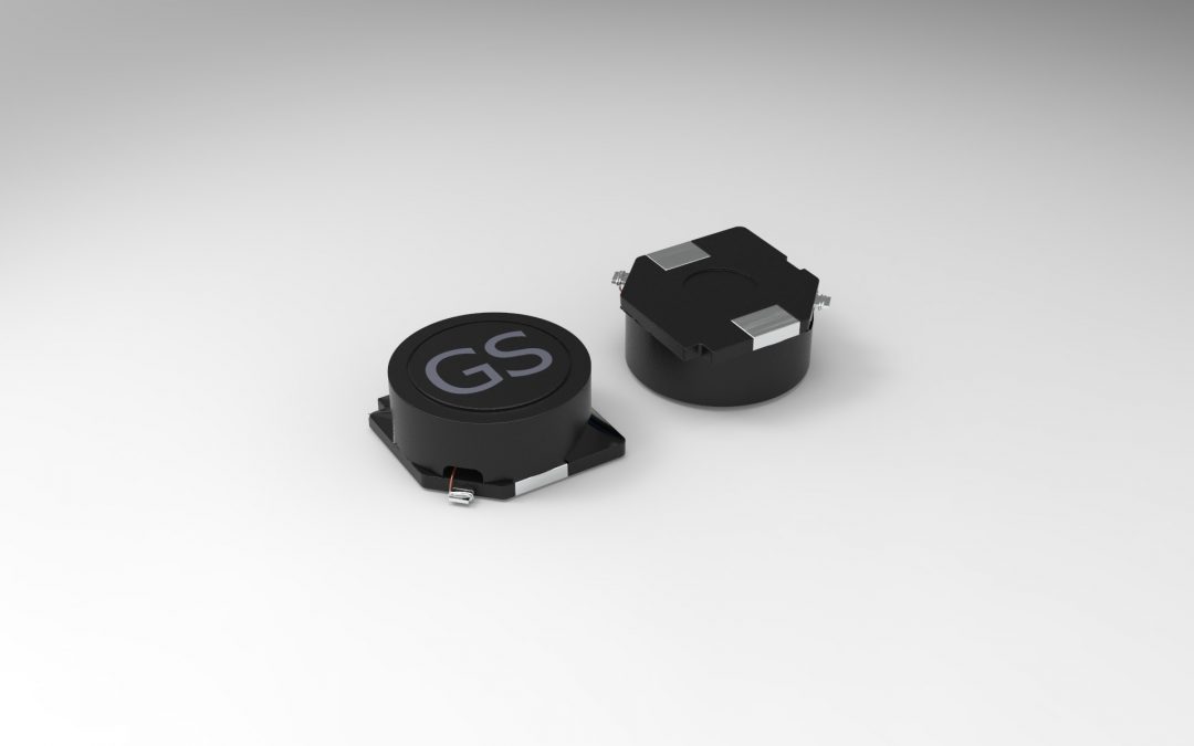 GSSLF12575